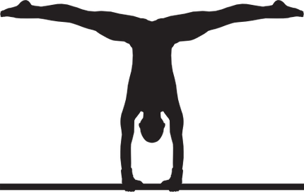 (019-1-2C) Gymnastics Gymnast