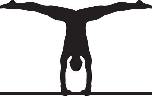 (019-1-2C) Gymnastics Gymnast
