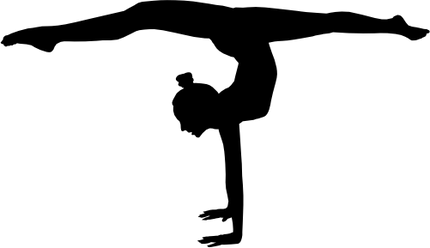 (s019-1-1Q) Gymnastics Gymnast