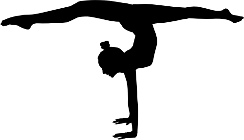 (s019-1-1Q) Gymnastics Gymnast