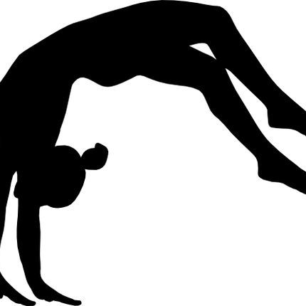 (s019-1-1T) Gymnastics Gymnast