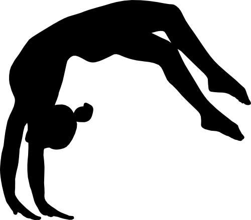(s019-1-1T) Gymnastics Gymnast