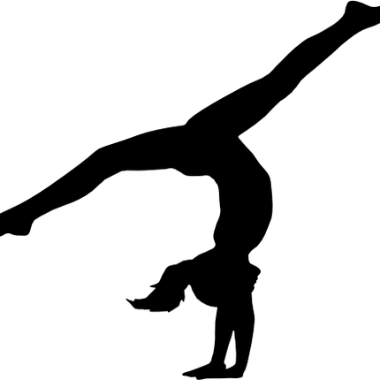 (s019-1-1U) Gymnastics Gymnast