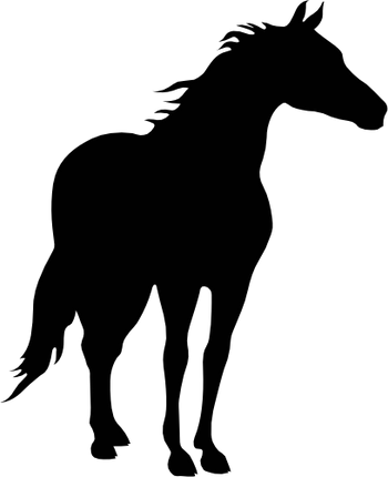 (001-01-1O) Horse Silhouette