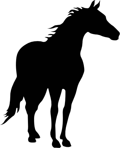 (001-01-1O) Horse Silhouette