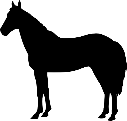 (001-01-1Z) Horse Silhouette