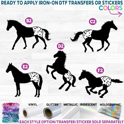 (s001) Horse Horses Appaloosa Printed Heat Transfer or Sticker