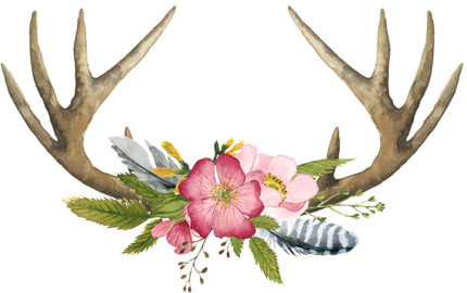 (002-01) Pink Wild Rose