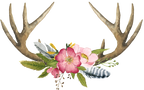(002-01) Pink Wild Rose