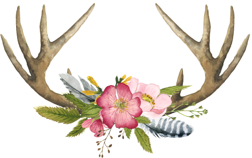 (002-01) Pink Wild Rose