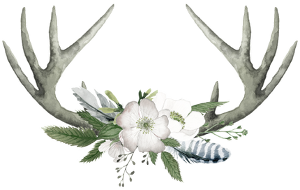 (002-01) White Wild Rose