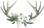 (002-01) White Wild Rose