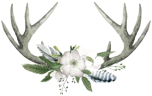 (002-01) White Wild Rose