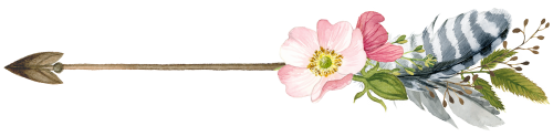 (s002-2-C) Wild Rose Pink Watercolor Arrows Set or Single