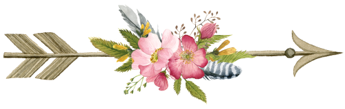 (s002-2-C) Wild Rose Pink Watercolor Arrows Set or Single