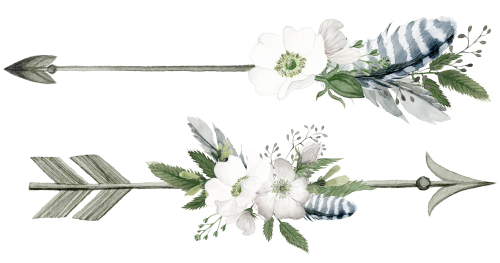 (s002-2-F) Wild Rose White Watercolor Arrows Set or Single