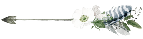 (s002-2-F) Wild Rose White Watercolor Arrows Set or Single