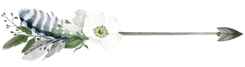 (s002-2-F) Wild Rose White Watercolor Arrows Set or Single