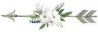 (s002-2-F) Wild Rose White Watercolor Arrows Set or Single