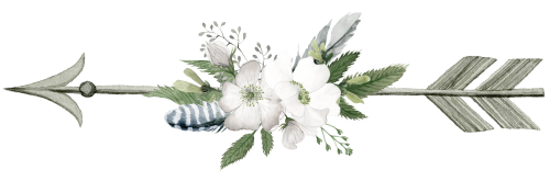 (s002-2-F) Wild Rose White Watercolor Arrows Set or Single
