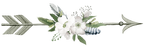 (s002-2-F) Wild Rose White Watercolor Arrows Set or Single