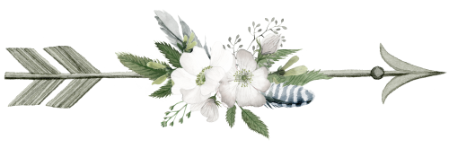 (s002-2-F) Wild Rose White Watercolor Arrows Set or Single