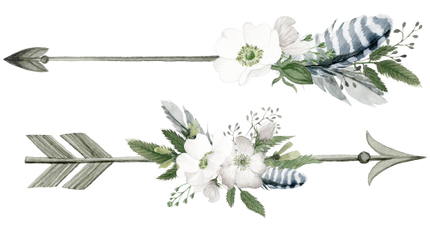 (002-01) White Wild Rose