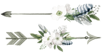 (002-01) White Wild Rose