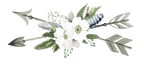 (s002-2-G) Wild Rose White Watercolor Arrow