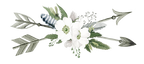 (s002-2-G) Wild Rose White Watercolor Arrow