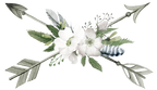 (002-01) White Wild Rose
