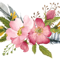 Collection image for: Nature/Outdoors