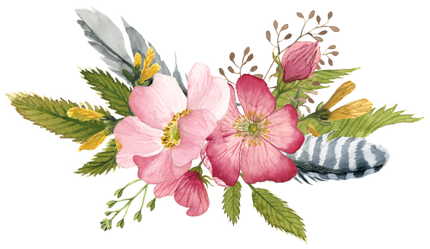 (002-01) Pink Wild Rose