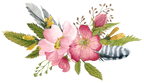 (002-01) Pink Wild Rose