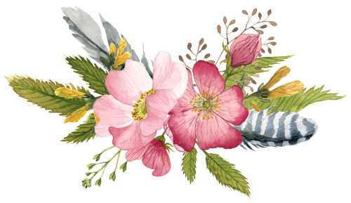 (002-01) Pink Wild Rose