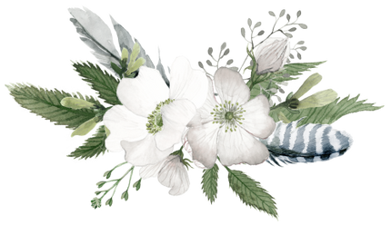 (002-01) White Wild Rose