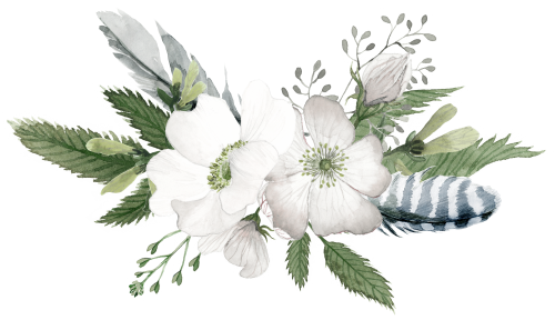 (002-01) White Wild Rose