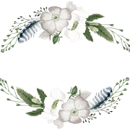 (002-01) White Wild Rose