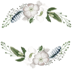 (002-01) White Wild Rose