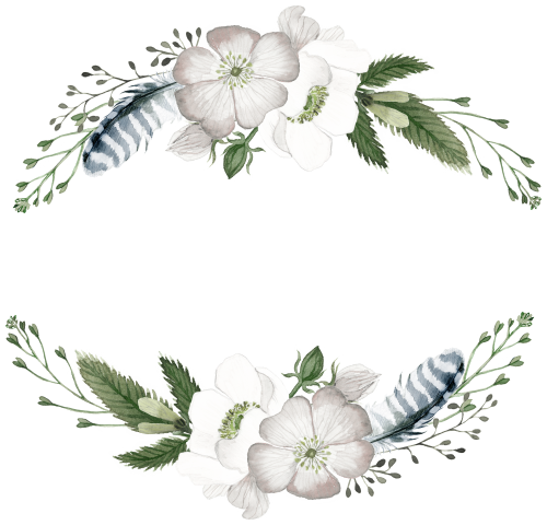 (002-01) White Wild Rose