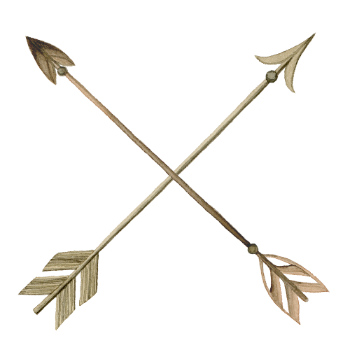 (s002-2-O) Watercolor Crossed Arrows