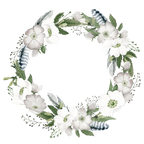 (002-01) White Wild Rose