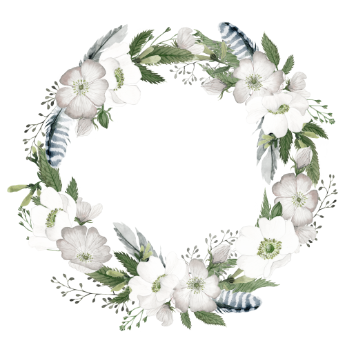 (002-01) White Wild Rose