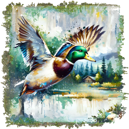 (s202-2-C) Duck Mallard