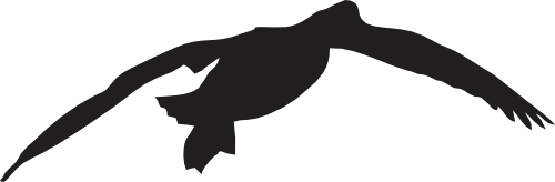 (s202-A) Duck Silhouette