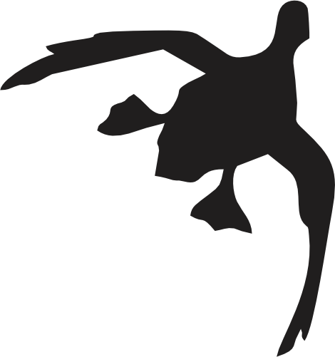 (s202-C) Duck Silhouette