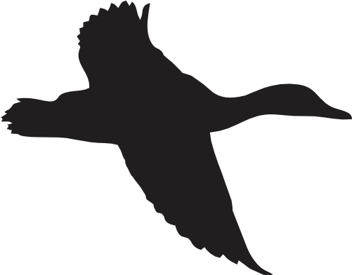 (s202-E) Duck Silhouette