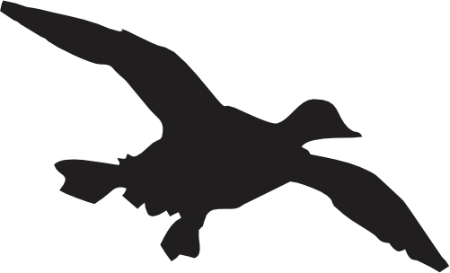 (s202-F) Duck Silhouette