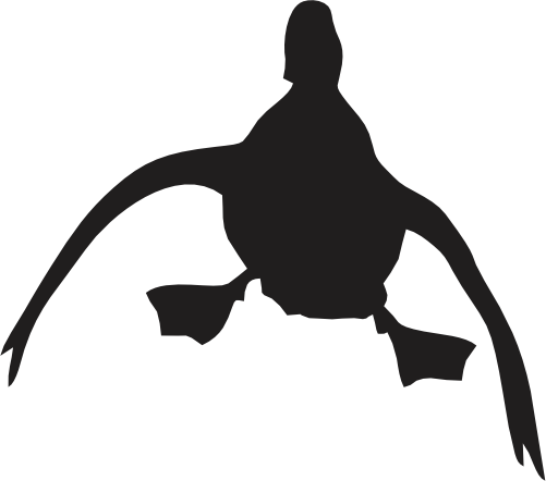 (s202-G) Duck Silhouette