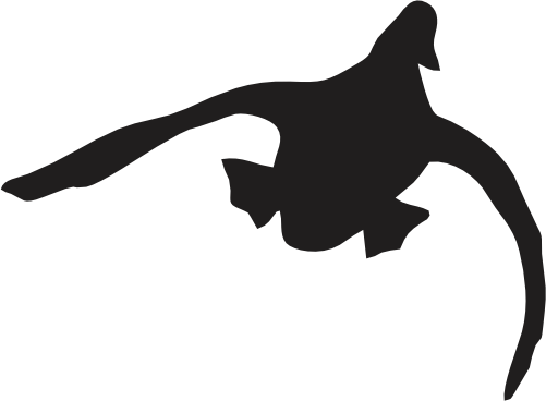 (s202-H) Duck Silhouette